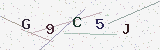 Codigo captcha